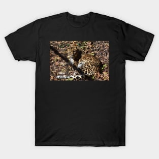 Leopard T-Shirt